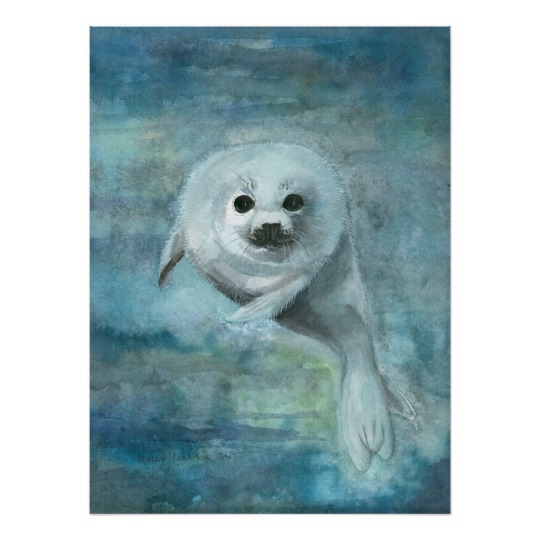 540x540 Harp Seal Watercolor Art Poster - Seal Watercolor