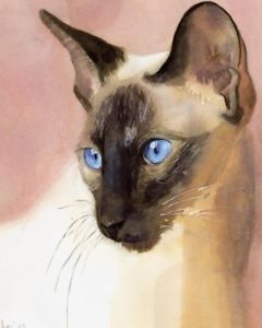 240x300 Giclee Print Of Siamese Cat Watercolor Painting Art Gaze - Seal Watercolor