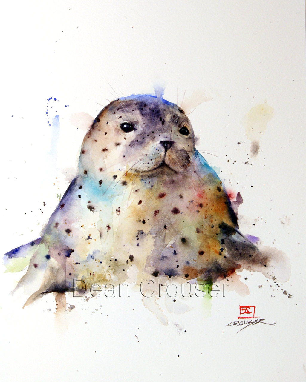 1024x1280 Harbor Seal - Seal Watercolor