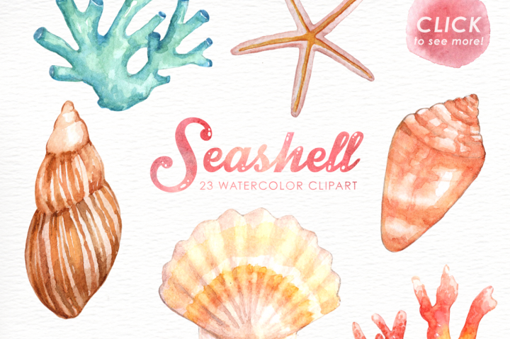 720x479 Seashell Watercolor Cliparts By Everysunsun - Seashell Watercolor