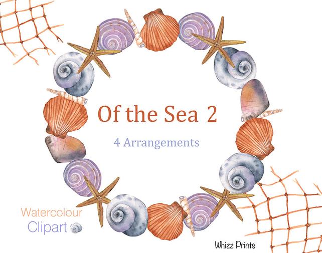 642x505 Seashell Watercolor Clipart Seashell Wreath Clipart Sea Etsy - Seashell Watercolor