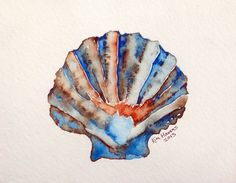 236x183 35 Best Watercolor Sea Shells Images Conchas De Mar - Seashell Watercolor