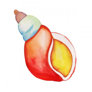 360x360 Watercolor Seashell Png Images Vectors And Psd Files Free - Seashell Watercolor
