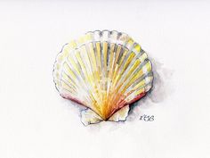 236x177 434 Best Watercolor Shells And Sea Stuff Images In 2018 - Seashell Watercolor