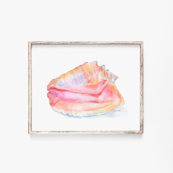 570x570 Conch Seashell Watercolor Painting 14 X 11 Beach Art Ocean Etsy - Seashell Watercolor