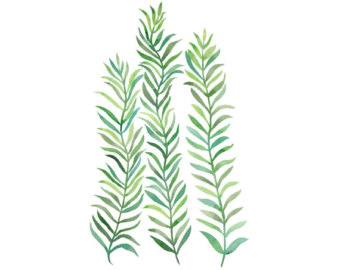 340x270 Seaweed Watercolor Etsy - Seaweed Watercolor