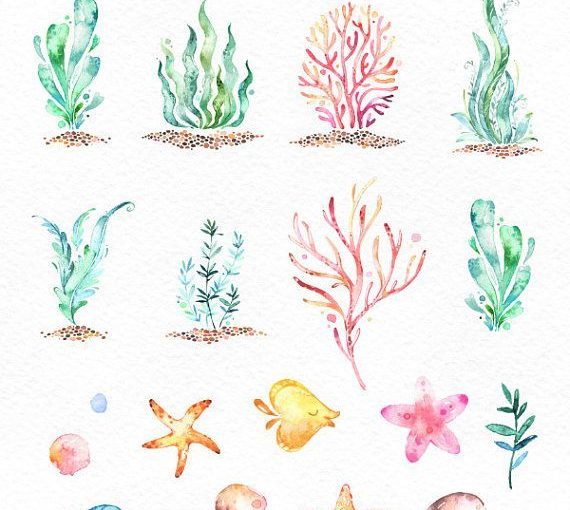 570x510 This Ocean Seaweed Watercolor Set Is Just What You Needed For The - Seaweed Watercolor