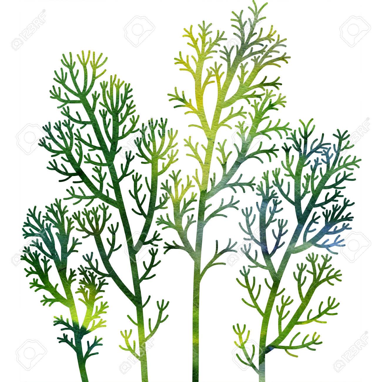 1300x1300 Drawn Seaweed Watercolor 15 - Seaweed Watercolor