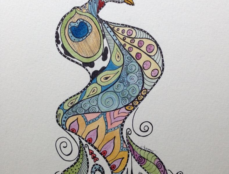 788x600 Day 264 Pretty As A Peacock In Sharpie And Watercolor On - Sharpie Watercolor