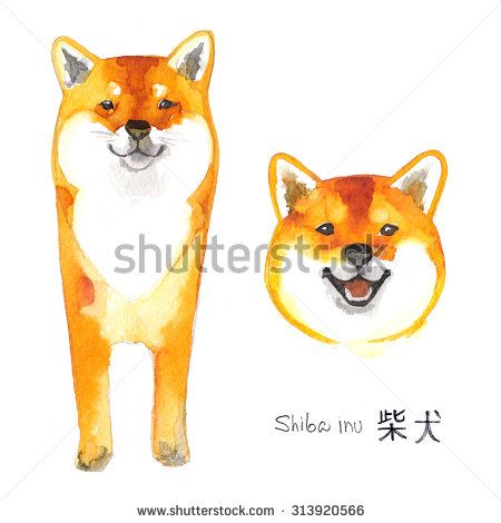450x470 Shiba Inu Dog Painted With Watercolors On White Background - Shiba Inu Watercolor