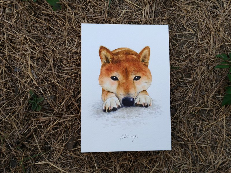 800x600 Shiba Inu Watercolor Painting - Shiba Inu Watercolor