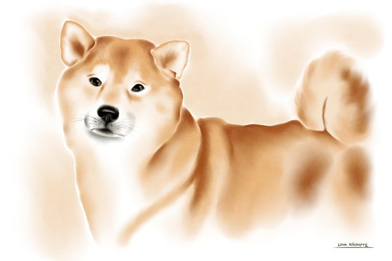 570x380 Shiba Inu Watercolor Print On Canvas Etsy - Shiba Inu Watercolor