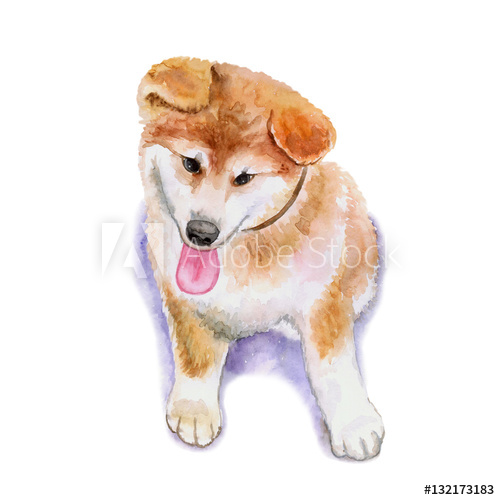 500x500 Watercolor Closeup Portrait Of Red Japanese Shiba Inu Puppy - Shiba Inu Watercolor