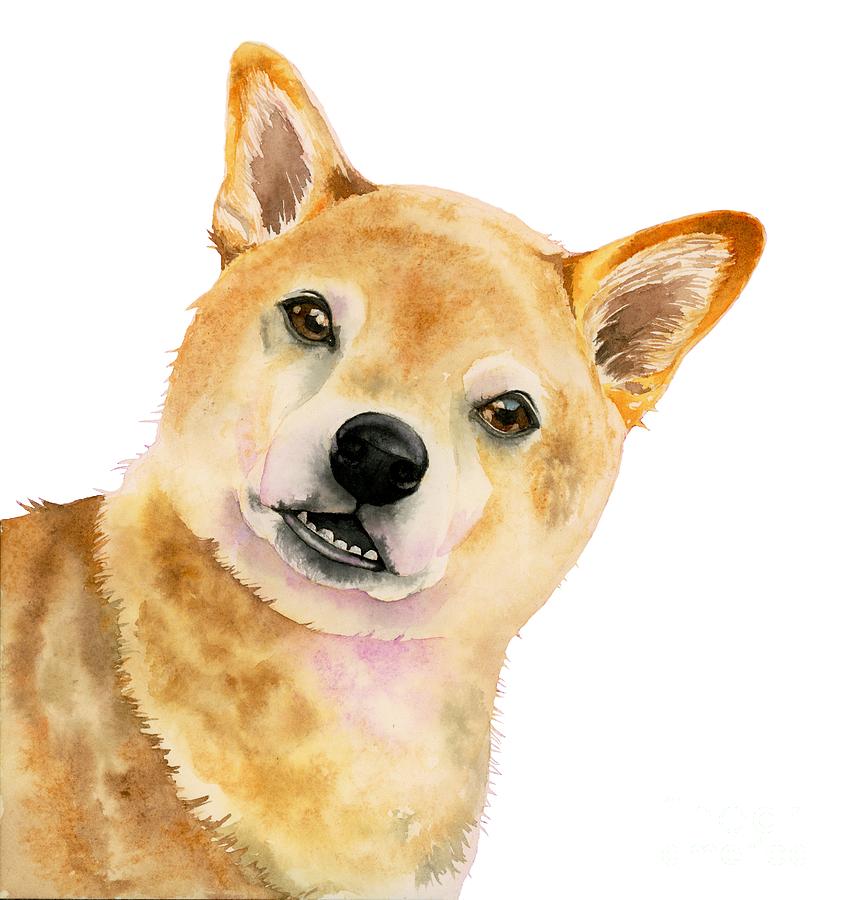 846x900 Peak A Boo - Shiba Inu Watercolor