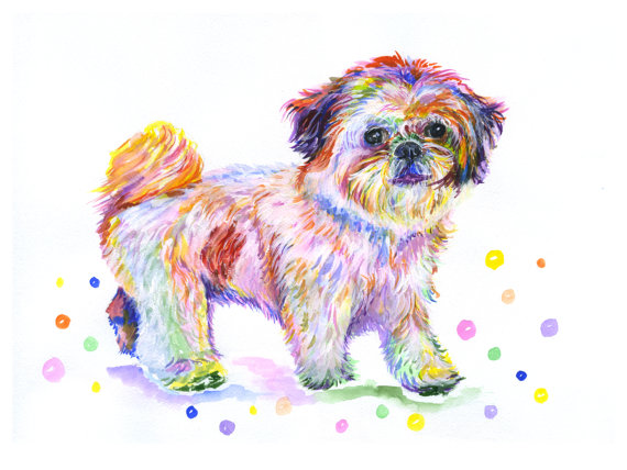 570x428 Shih Tzu Dog Canvas Print Watercolor Painting Postershih Tzu - Shih Tzu Watercolor