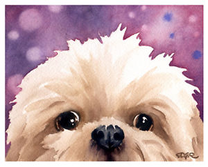 300x242 Shih Tzu Watercolor Dog Art Print Signed By Artist Djr Ebay - Shih Tzu Watercolor