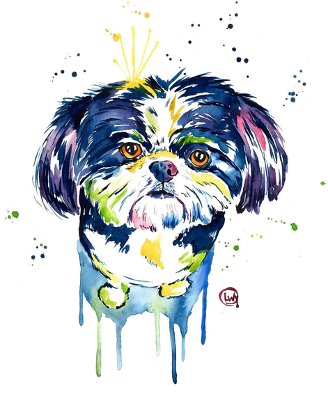 471x599 Shih Tzu - Shih Tzu Watercolor