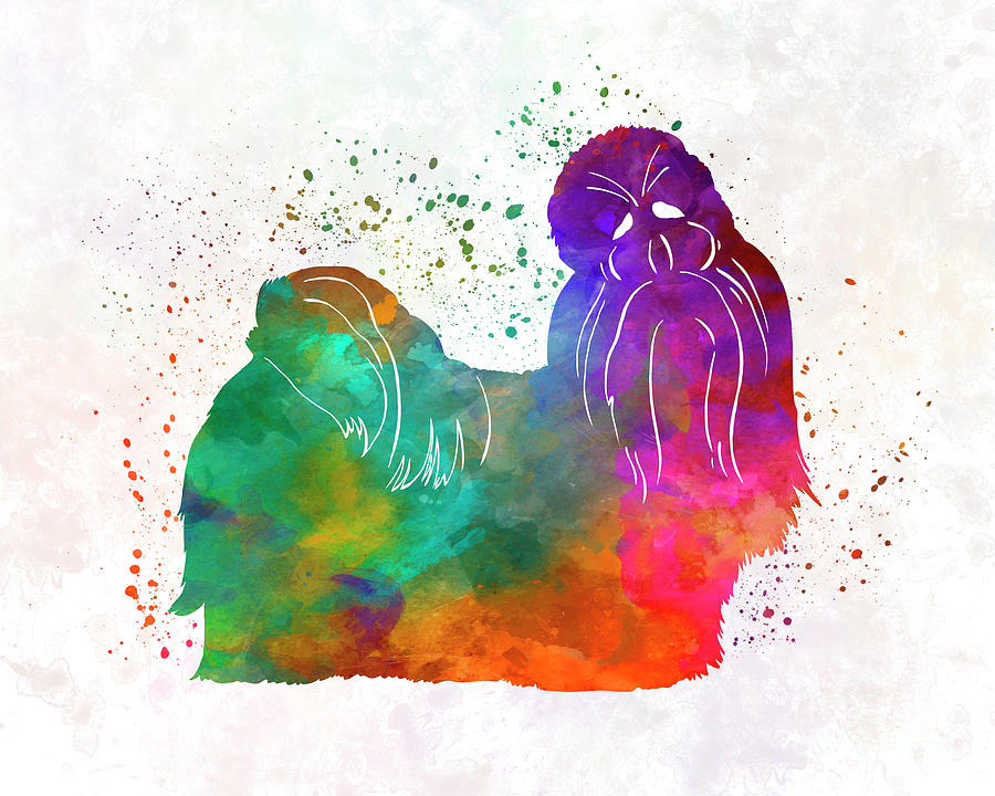 900x720 Shih Tzu In Watercolor Painting By Pablo Romero - Shih Tzu Watercolor