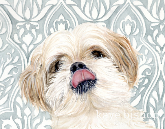570x448 Shih Tzu Painting, Animal Art, Shih Tzu Painting, Shih Tzu - Shih Tzu Watercolor