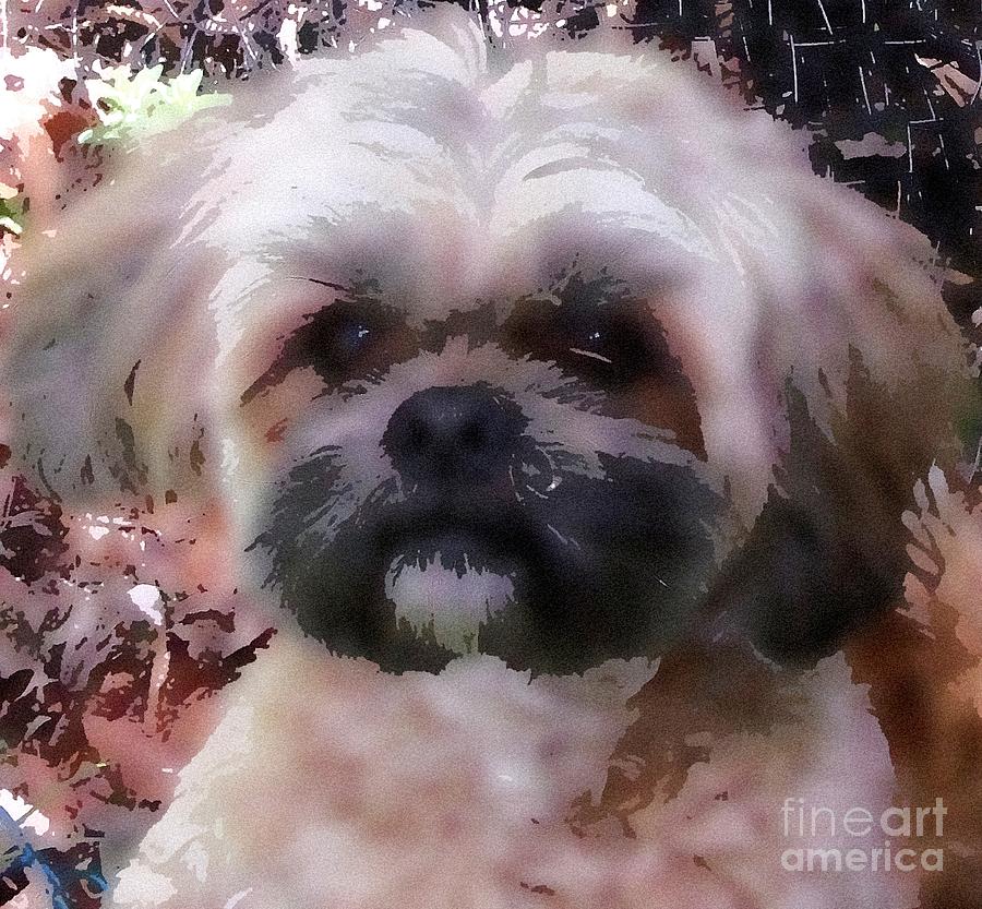 900x833 Shih Tzu Watercolor Digital Art By Gail Matthews - Shih Tzu Watercolor