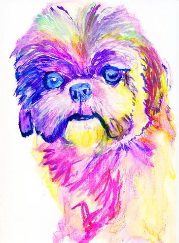 353x480 Shih Tzu Art Print, Shih Tzu Gift, Shih Tzu Painting, Shih Tzu - Shih Tzu Watercolor
