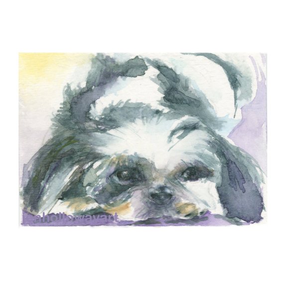 570x570 Watercolor Shih Tzu Shih Tzu Print Shih Tzu Art Dog Art Etsy - Shih Tzu Watercolor