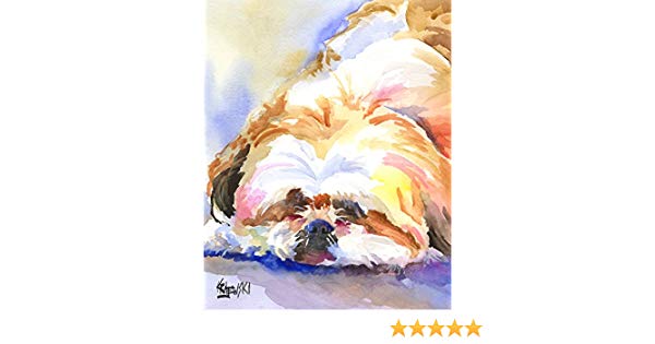 600x315 Shih Tzu Dog Fine Art Print On 100% Cotton Watercolor - Shih Tzu Watercolor