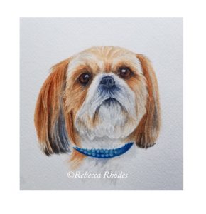 290x300 World Watercolor Month 13 Shih Tzu! - Shih Tzu Watercolor