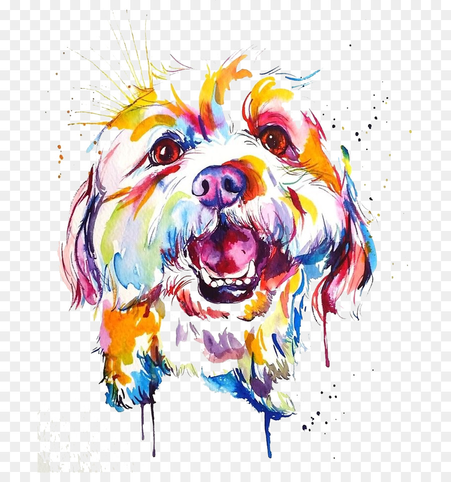 900x960 Dog Breed Watercolor Painting Border Collie Shih Tzu - Shih Tzu Watercolor