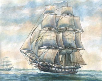 340x270 Rebel The Mule Blank Notecards Free Ship Watercolor By Ellen Etsy - Ship Watercolor