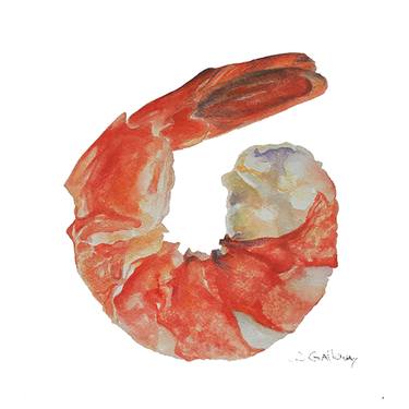 375x375 Shrimp - Shrimp Watercolor