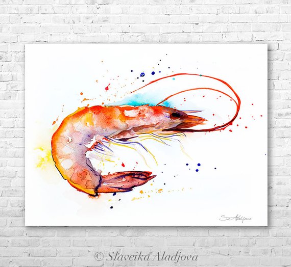 570x524 Shrimp Watercolor Painting Print By Slaveika Aladjova Art Etsy - Shrimp Watercolor