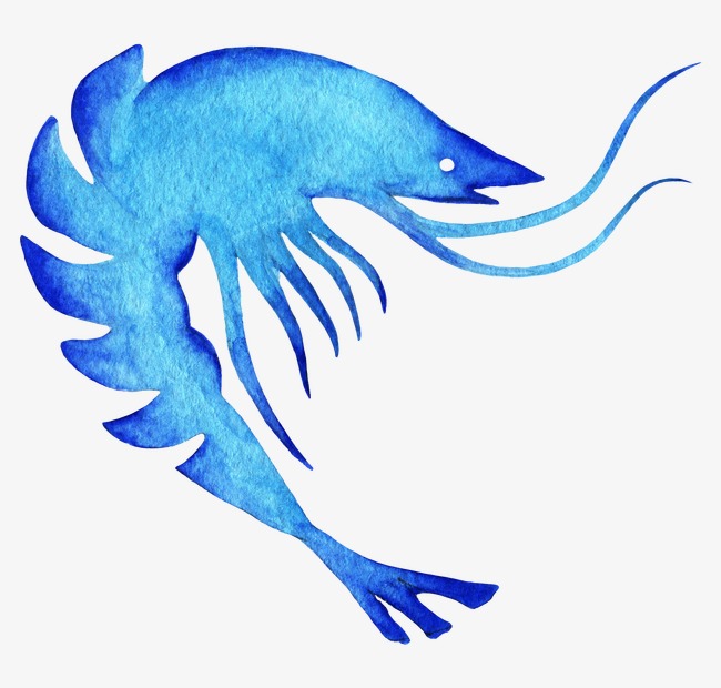 650x620 Watercolor Blue Shrimp, Watercolor Clipart, Shrimp Clipart, Shrimp - Shrimp Watercolor