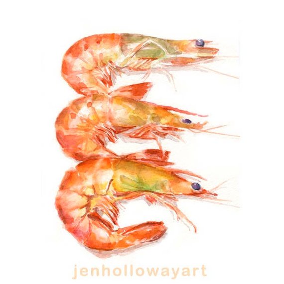 570x570 Watercolor Shrimp Shrimp Print Painting Of Shrimp Shrimp Etsy - Shrimp Watercolor