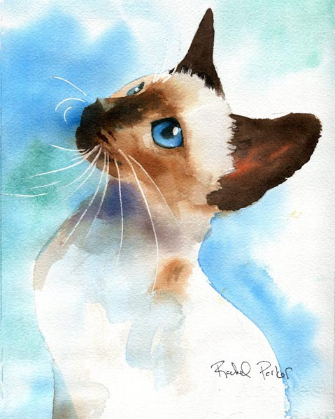 479x600 Ragdoll Siamese Cat Art Print Of My Watercolor Ragdoll Large Big - Siamese Cat Watercolor