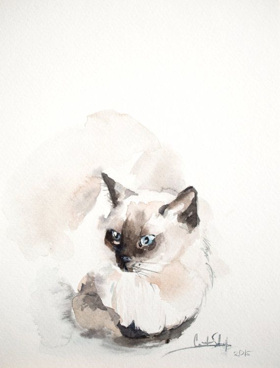 570x749 Siamese Cat Original Watercolor Painting, Painting Of Cat, Cat - Siamese Cat Watercolor