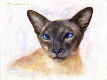 375x280 Siamese Cat Original Watercolor Painting Painting By Alex Vald - Siamese Cat Watercolor