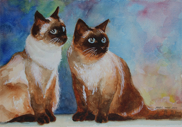 600x420 Siamese Cat Studies 1 Thru 5 - Siamese Cat Watercolor