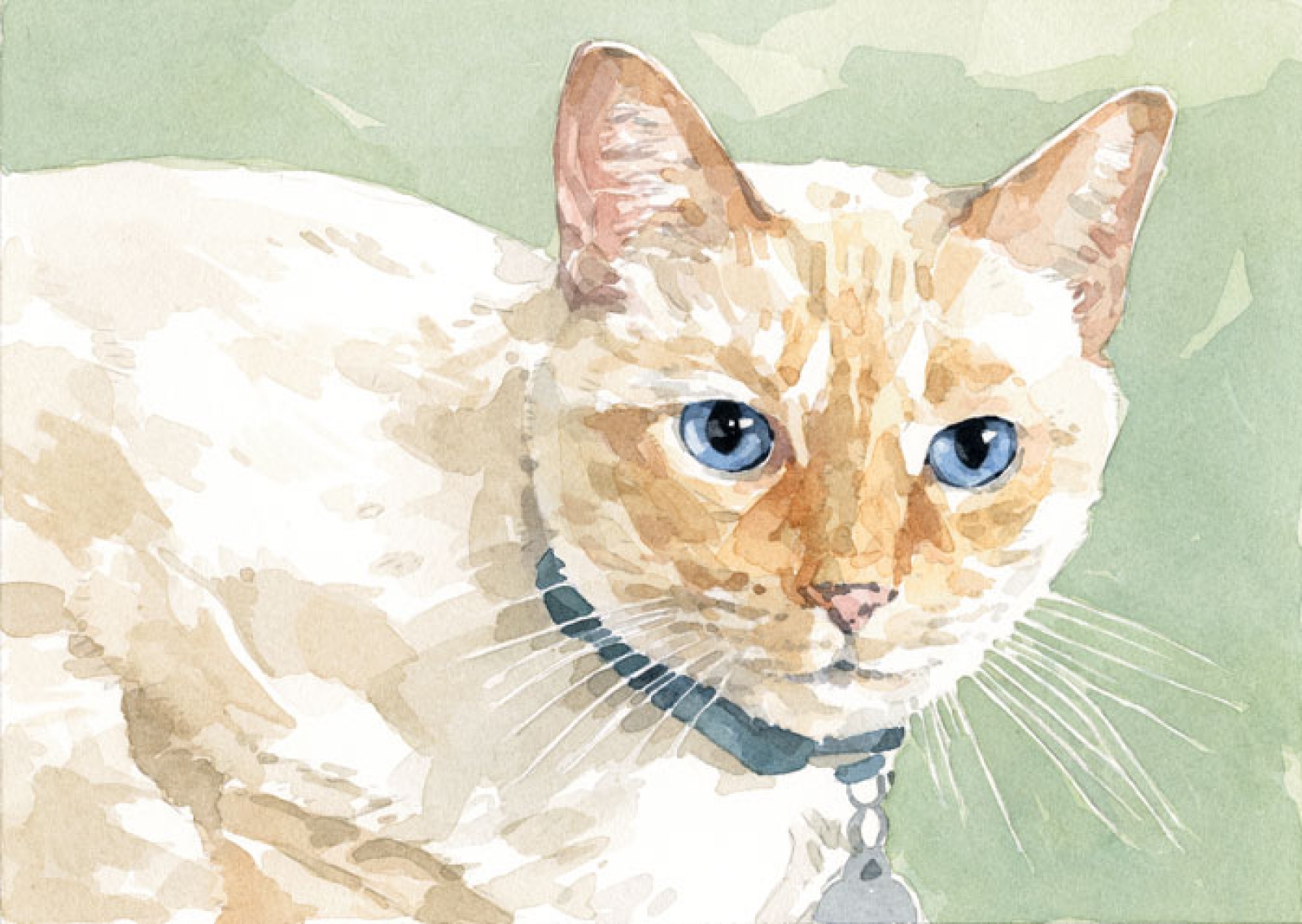 1600x1136 Custom Cat Portrait Watercolor Painting 5x7 David Scheirer - Siamese Cat Watercolor