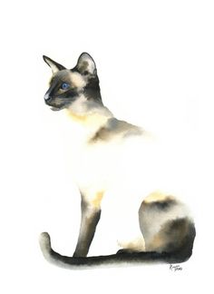 236x324 The 58 Best Siamese Cats Images Siamese Cats - Siamese Cat Watercolor