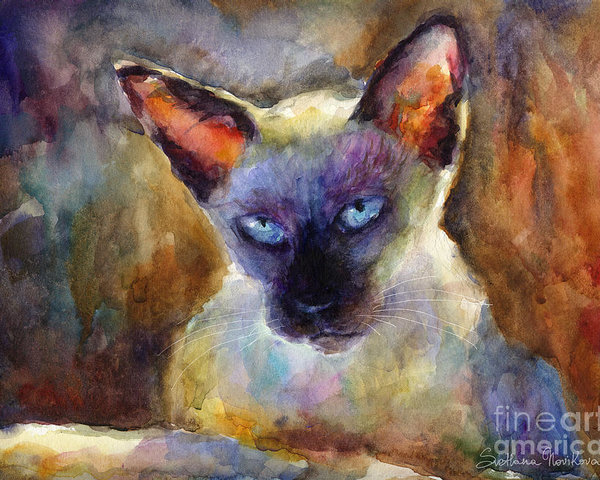 600x480 Watercolor Siamese Cat Painting Poster By Svetlana Novikova - Siamese Cat Watercolor