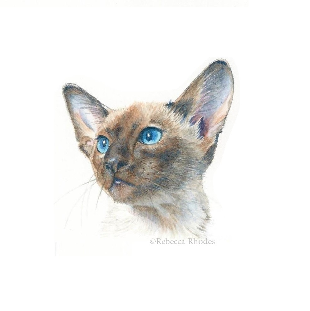 996x1000 World Watercolor Month 25 We Are Siamese - Siamese Cat Watercolor