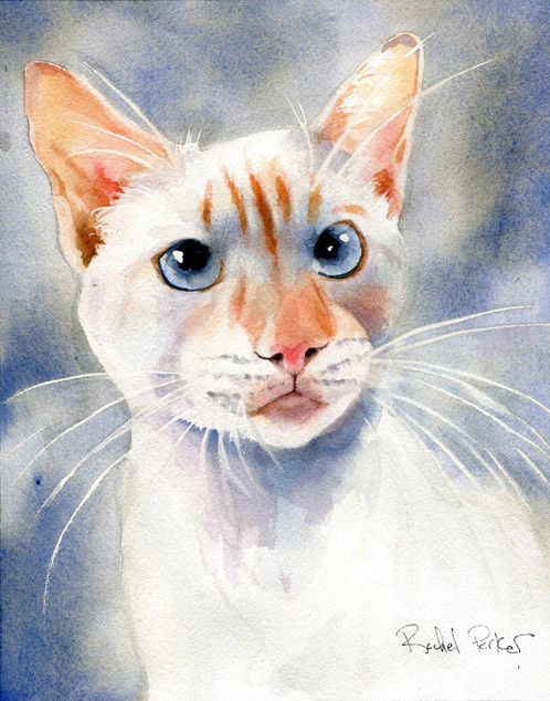 498x634 Flame Point Siamese Cat - Siamese Cat Watercolor