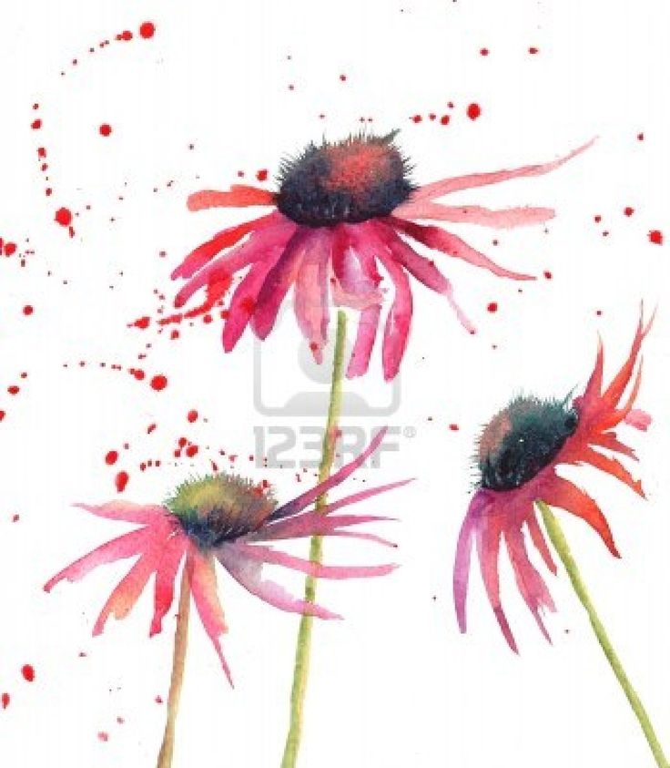 736x843 Simple Flowers Paintings 682 Best Stationery Inspirations Flowers - Simple Flower Watercolor Painting