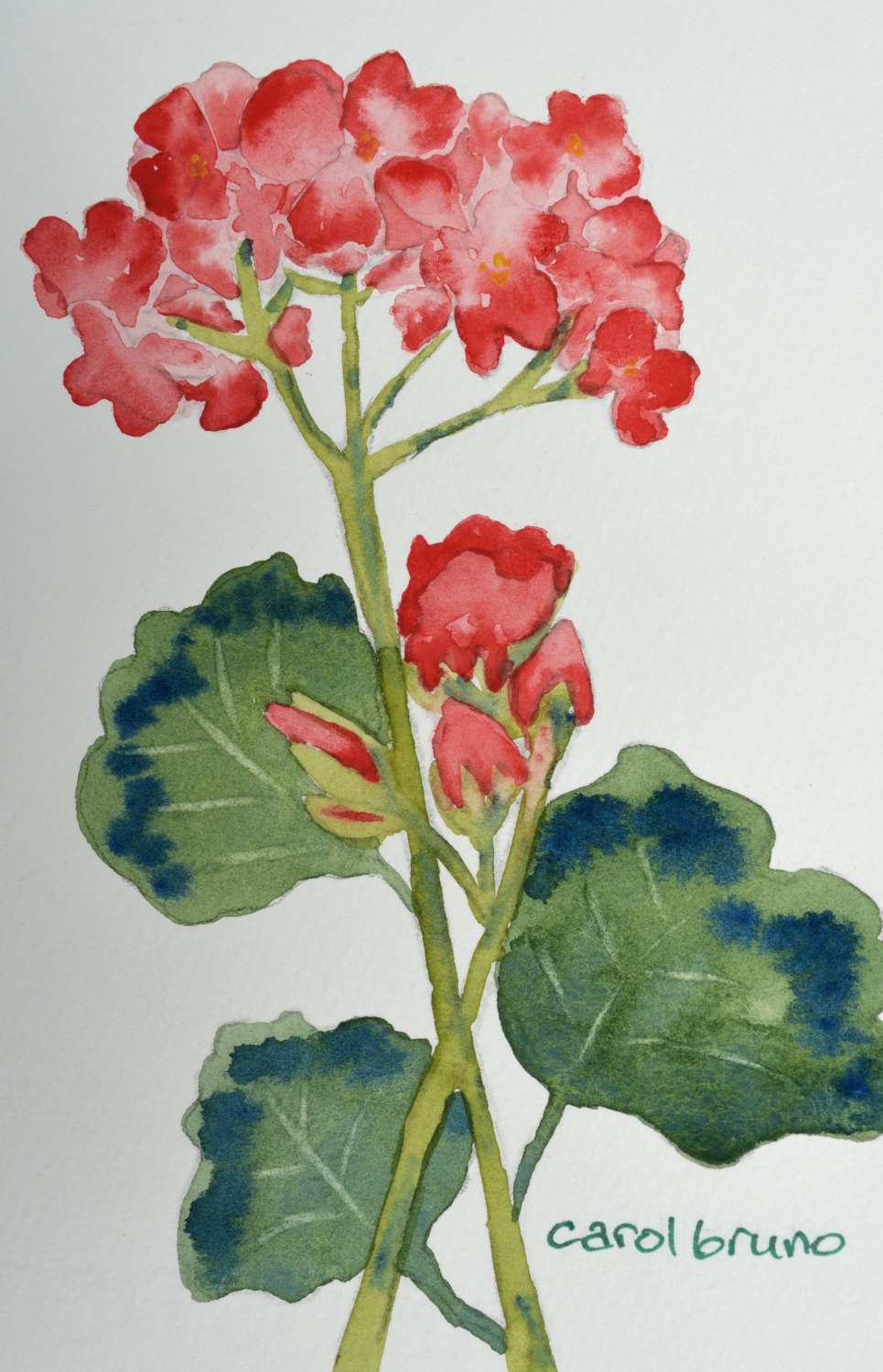 965x1500 Easy Watercolor Painting Awesome Easy Watercolor Paintings Flowers - Simple Flower Watercolor Painting