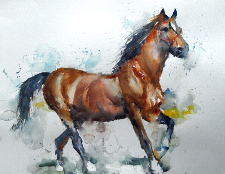 749x580 Horse Watercolor Paintings - Simple Horse Watercolor