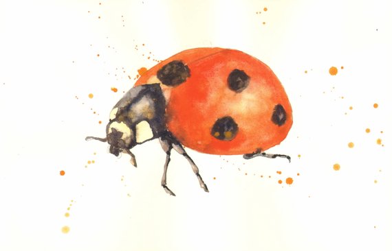 570x366 Pinkristen Baumann On Paint Ideas - Simple Watercolor Animals