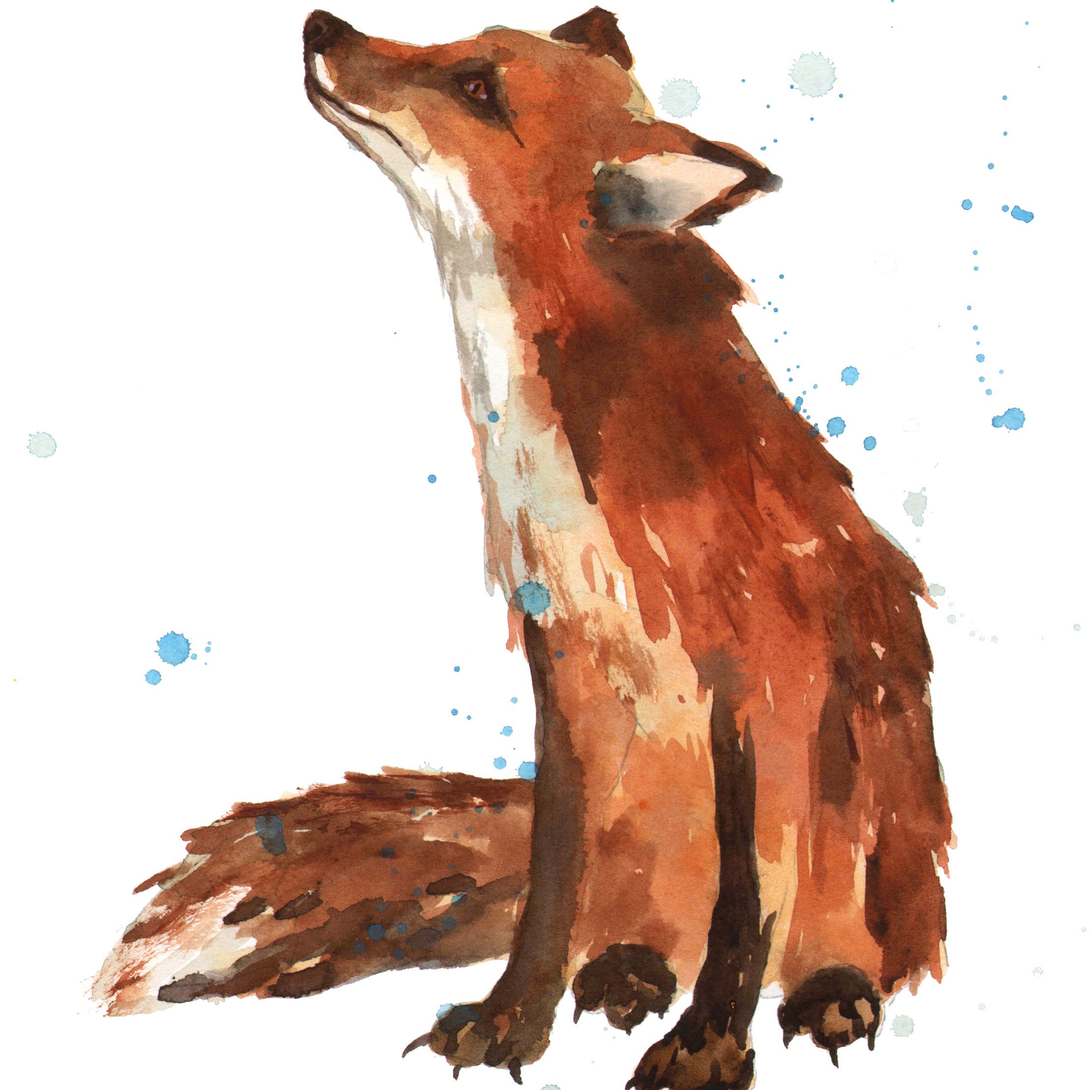 2217x2217 Simple Fox Watercolor - Simple Watercolor Animals