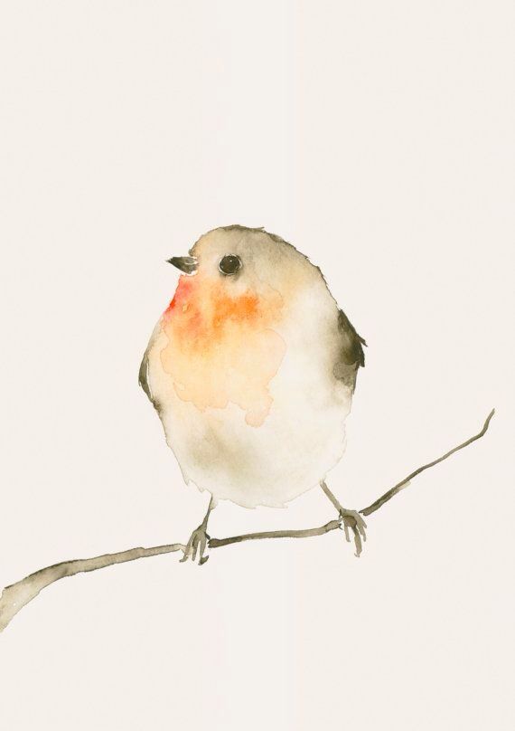 570x808 Watercolor Watercolors Watercolor, Bird And Paintings - Simple Watercolor Animals