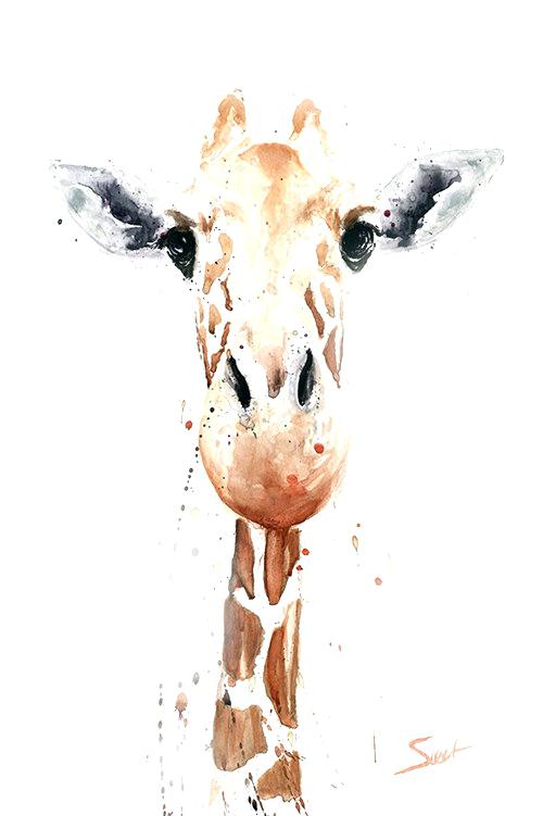 500x751 Watercolor Animal Portraits Mikenguyen - Simple Watercolor Animals
